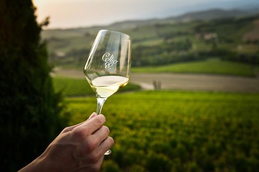 Vino, oggi è il “Collio Day 2024”: appuntamenti in 13 città