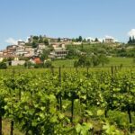 Vino, Lantieri: entro Natale il primo Franciacorta Blanc de Noir