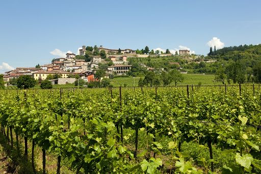 Vino, Lantieri: entro Natale il primo Franciacorta Blanc de Noir