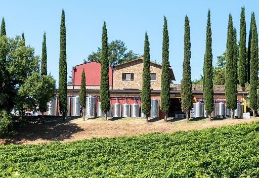 Vino, Ampelaia imbottiglia due nuovi Cru di Cabernet Franc per il 2025