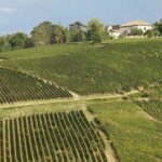 Vino, nuova bollicina per Tenuta Mazzolino: debutta il Blanc de Noirs