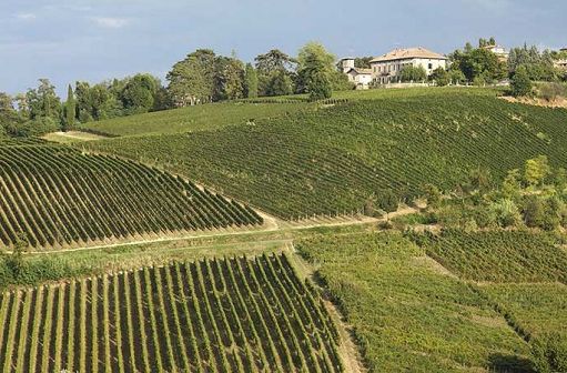 Vino, nuova bollicina per Tenuta Mazzolino: debutta il Blanc de Noirs