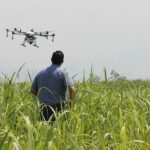 Cia: da robotica a tree climbing, agricoltura vuole più ricerca