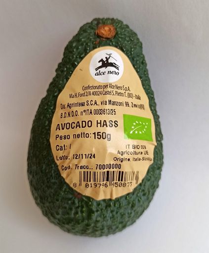 A metà novembre sugli scaffali l’avocado biologico siciliano Brio