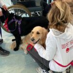 La Dog-Pet Therapy arriva al Pronto soccorso del San Paolo di Milano