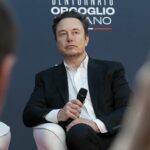 Musk contro giudici imbarazza Meloni e il governo (ma non Salvini)