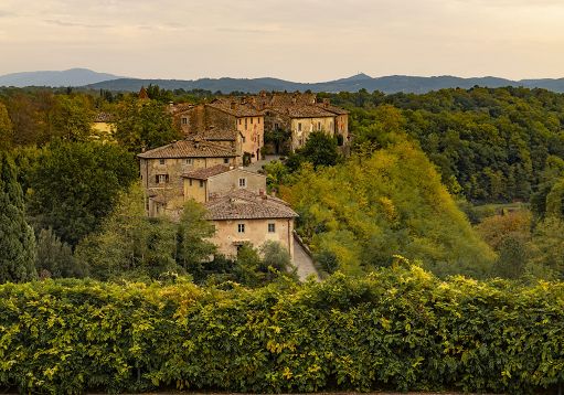 Vino, Il Borro sostiene il progetto “Careggi Green-Ospedale Biofilico”