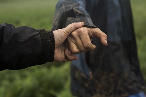 Nasce la Rete sociale biodinamica Demeter: agricoltura inclusiva cresce