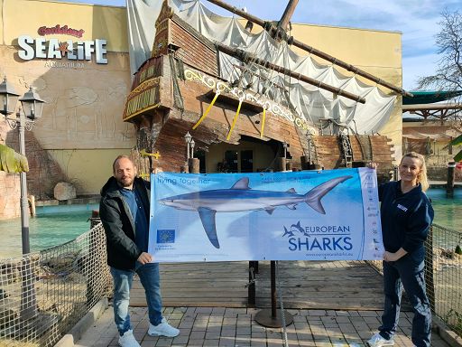 Gardaland Sea Life Aquarium nuovo ambasciatore Life European Sharks